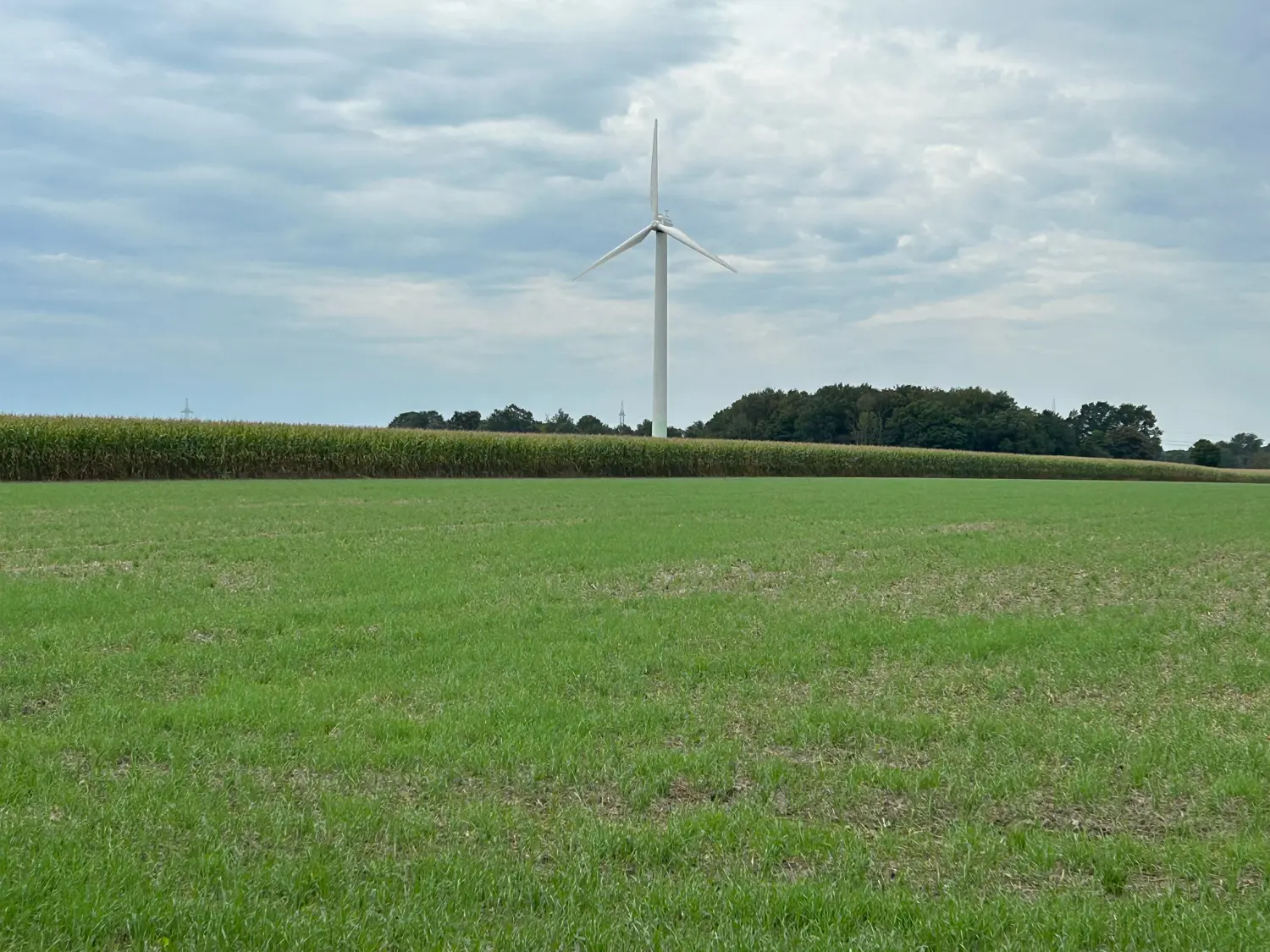 Windmühle Pape Bioenergie GmbH